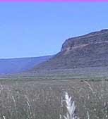 Butte and meadow