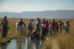 Gather at the well